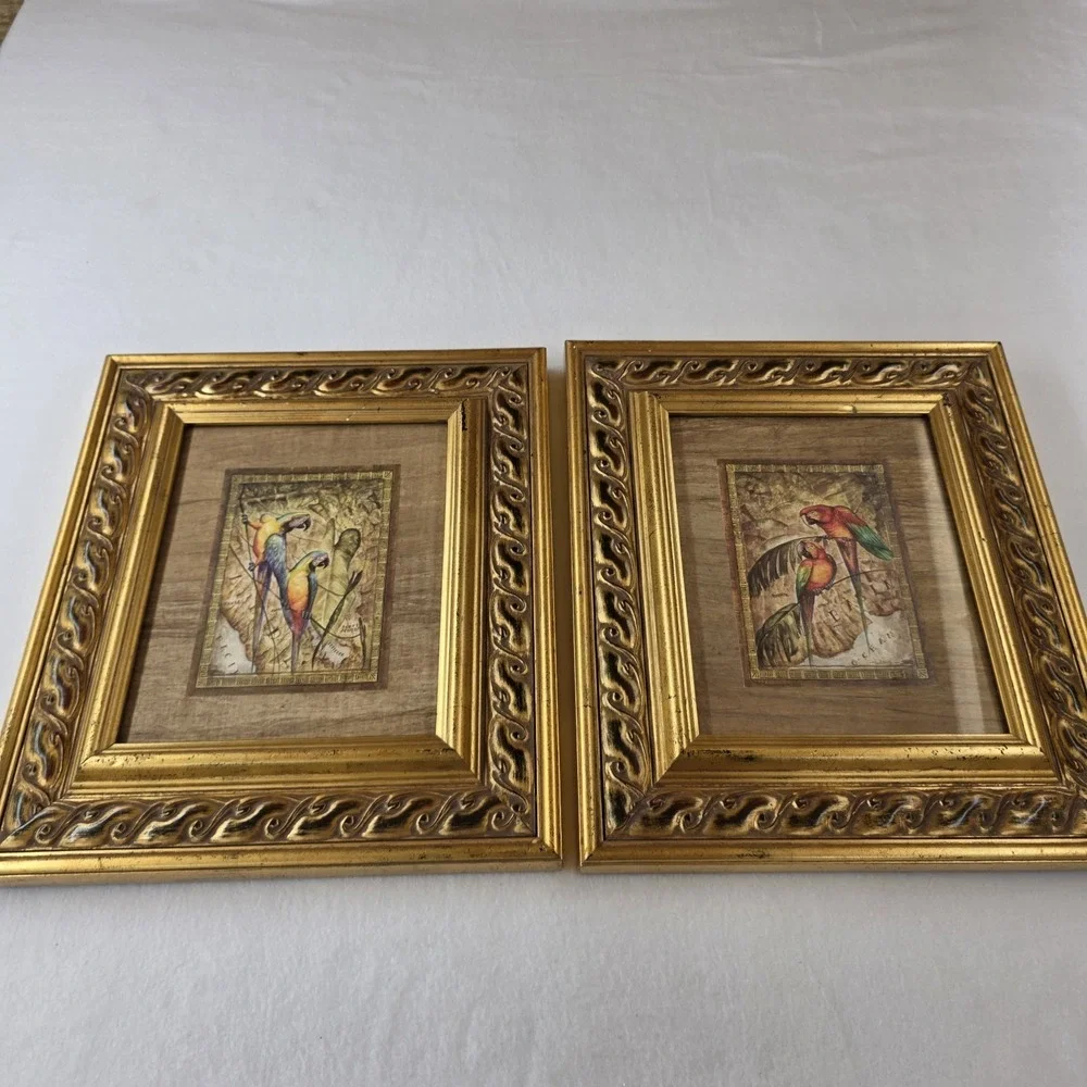 Pair Steve Butler Framed Parrot Art Prints Caribbean Color Macaw Gold Ornate Set